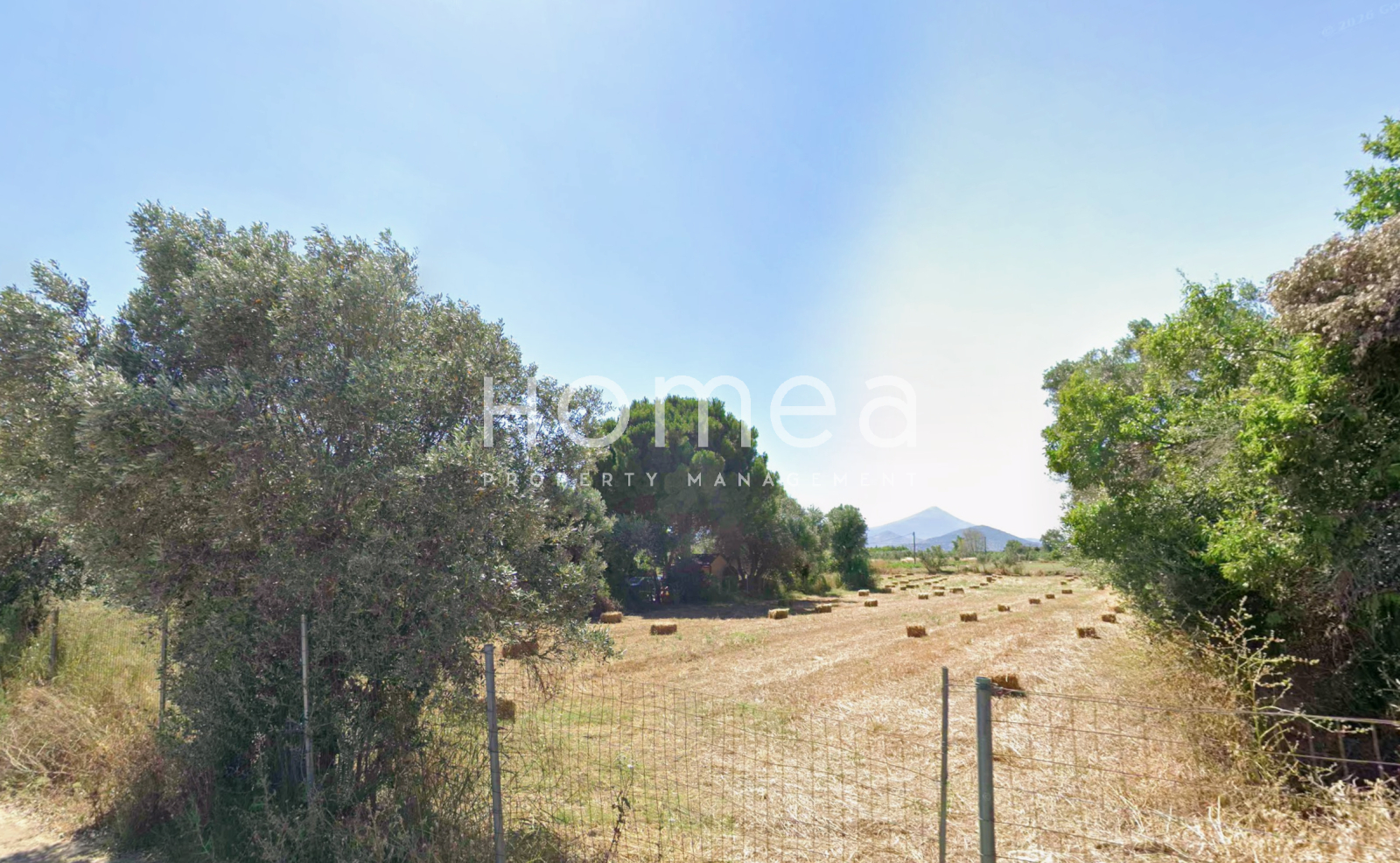 property-img